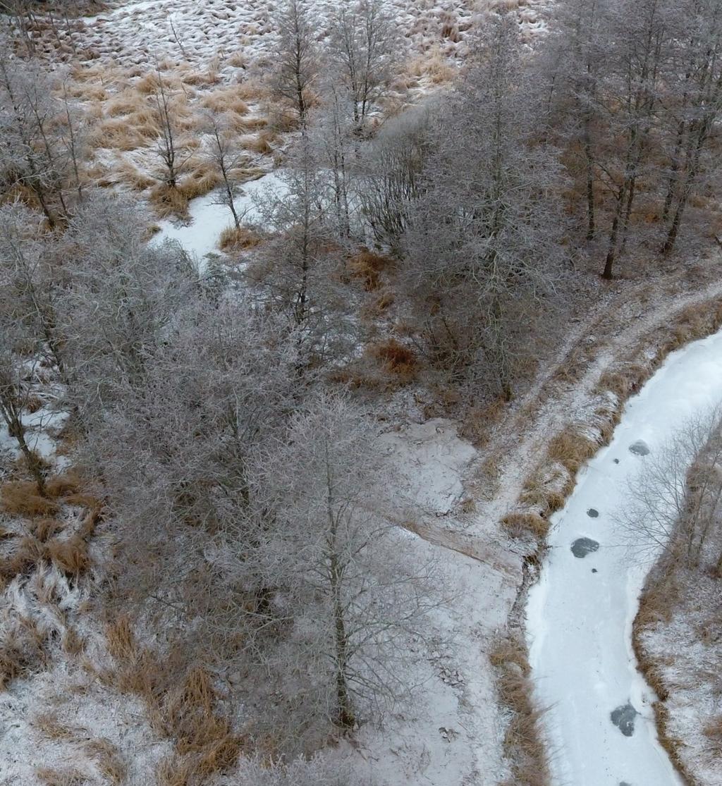 Pollinerende insekter Studenter ved NMBU utarbeidet høsten 2016 en forvaltningsstrategi for pollinerende insekter i Ski kommune.