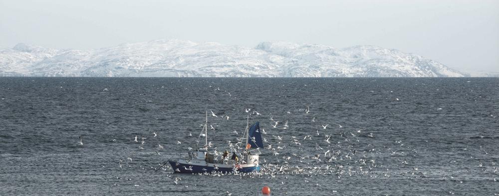 FORMÅL Strategisk næringsplan (SNP) er Vadsø kommunes strategiske plan for næringsutvikling.