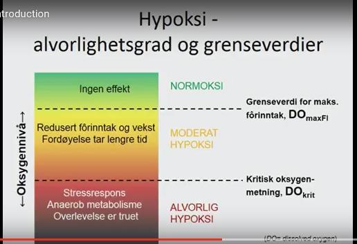 Tallene baserer seg på en doktorgradsstudie med bruk av post-smolt laks (<1 kg). Vi anbefaler derfor sterkt at oppdretteren opererer med en oksygen margin på minst 20% i forhold til normoksi, dvs.