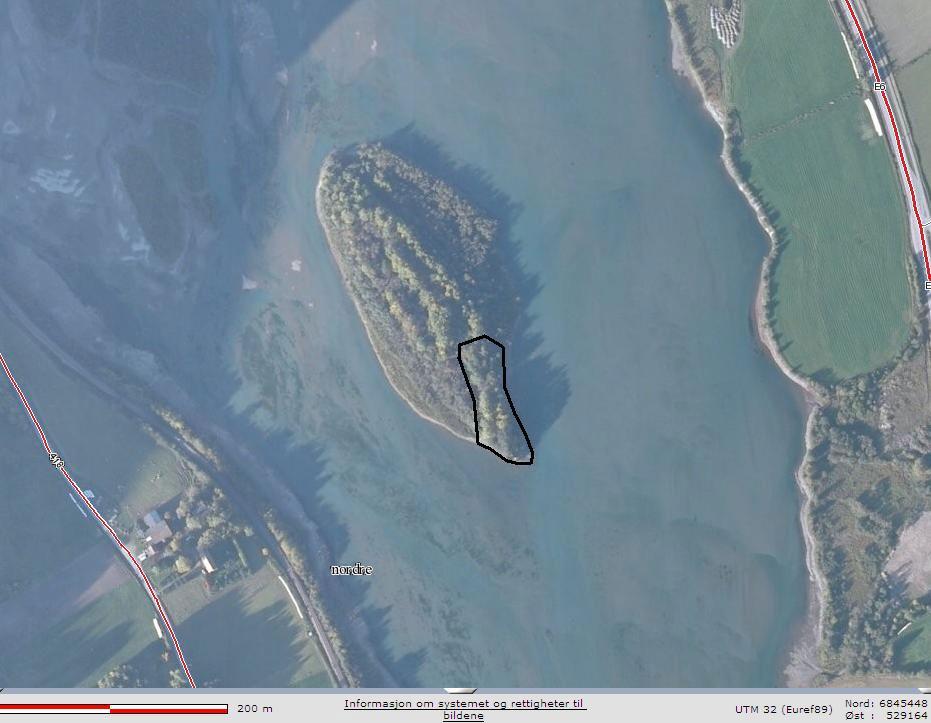 Beliggenhet og avgrensning: Dette er ei øy i Lågen utenfor Bredi gård, ca 3 km sør for Otta sentrum. Selve lokaliteten omfatter et lite furubestand på sørspissen av øya.