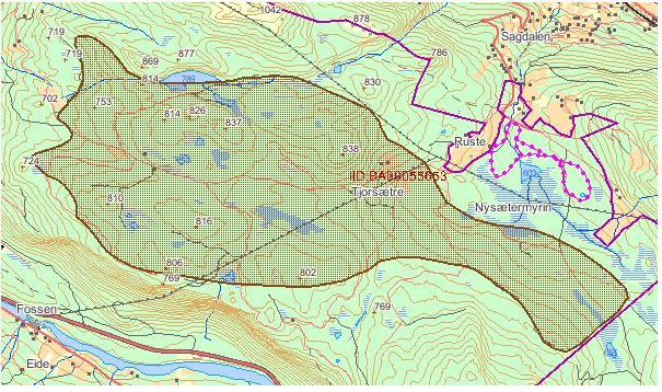 Lokalitet 30: Andershøe nord-hansberg Type viltområde Trekkveg for elg Verdi for biologisk mangfold: Lokalt viktig C UTM (WGS84): 32V 0518700 6851500 Kilder: Naturbase Beliggenhet: Lokaliteten går