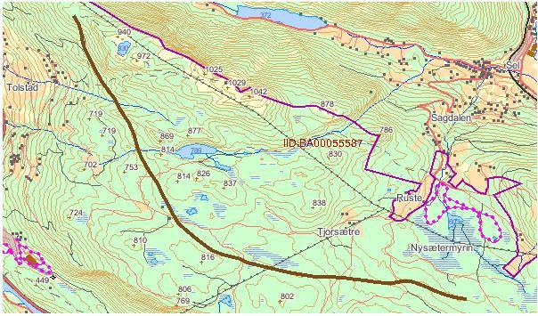 Lokalitet 31: Skogtjønne-Hansberg Type viltområde Trekkveg for