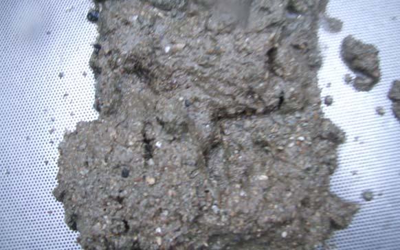 9 N9. E 3.7 Grått sediment med høyt innhold av skjellsand. 1 N9. E 3.7 Grått sediment med høyt innhold av skjellsand. Tabell.
