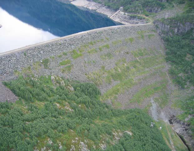 Damarbeid: Plastring av luftside Ny krone og vegbane på damtopp Sone 7 min 3,0 m Sone 8 skråningsvern med eit ytre ordna steinlag med steinstorleik min.