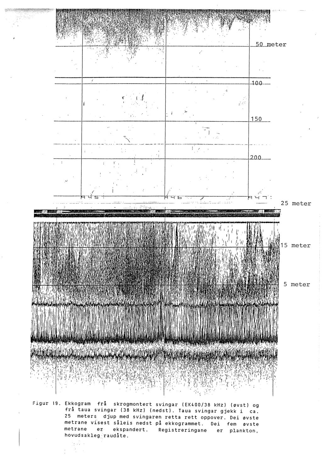 j,. 50 ;_._,~. ~. --~ ---~ -- - -- -y -,.- 5 meter 5 meter 5 meter Fgur 9. Ekkgram frå skrgmntert svingar (EK400/8 khz) (øvst) g frå taua svingar (8 khz) (nedst).