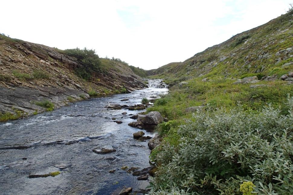 2 Magerdalselva Det ble registrert både årsunger (0+) og eldre (> 0+) laks i samtlige år på den nederste stasjonen i Magerdalselva, mens det på de to øverste stasjonene (Kval.