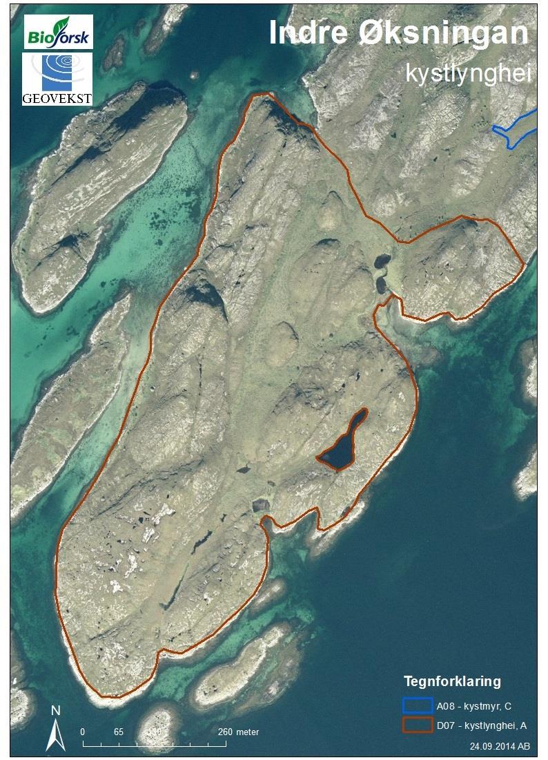 VEDLEGG 2 Kart med arealavgrensning for kystlyngheia Figur 2: Arealavgrensning av