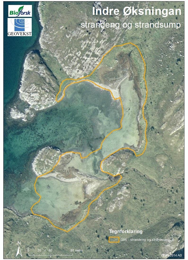 VEDLEGG 4 Kart med arealavgrensning for strandenga Figur 4: Strandenglokaliteten består av