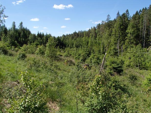 Kunnskapsgrunnlaget, gjennom forhåndsundersøkelser og feltarbeid, vurderes som godt. Det er gjennomgående lav usikkerhet knyttet til konsekvensvurderingen.