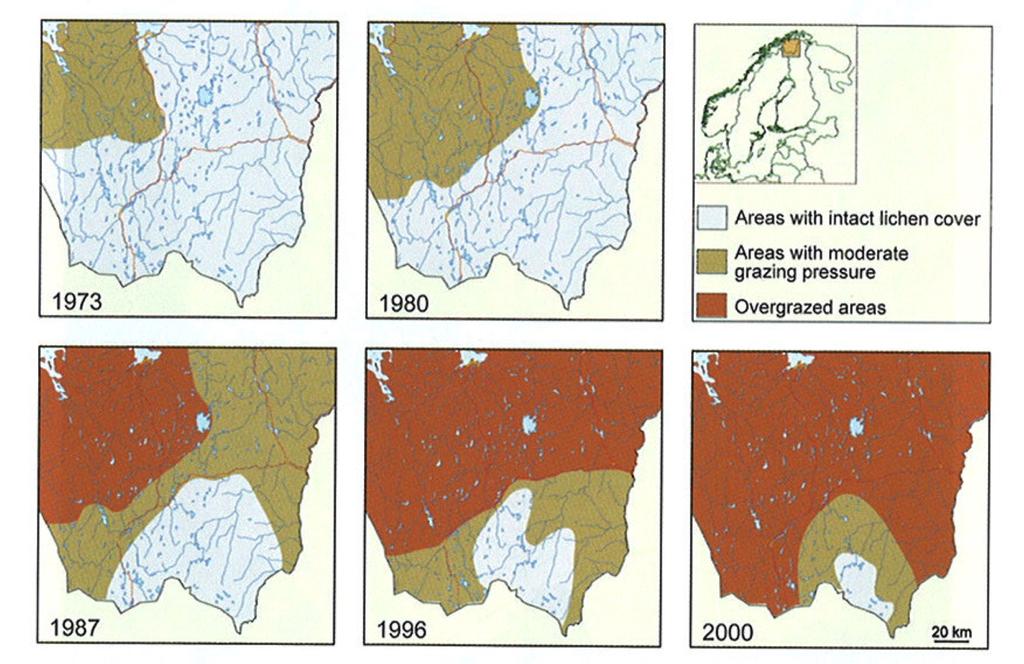 Figur 1 Utvikling av beitepress Figur 1 viser ved fargekodene hvit, grønn og rød hvordan dekket av lav har utviklet seg siden 1973.