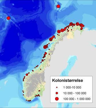 Figur D-2 Store sjøfuglkolonier på fastlandet, Svalbard, Bjørnøya og Jan Mayen (DN & HI, 2007).