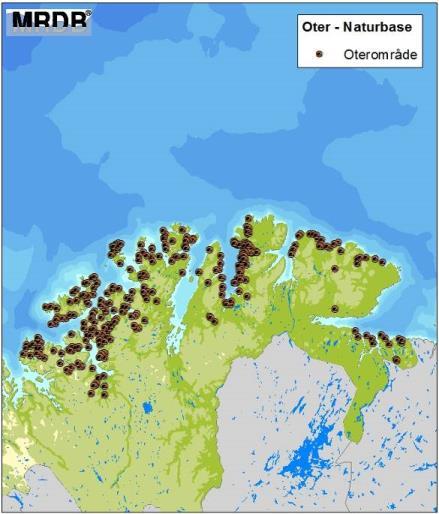 Oter Oteren ble fredet i Norge i 1982 som følge av bestandsnedgang i store deler av utbredelsesområdet. Det er antatt at over 25 % av den europeiske bestanden finnes i Norge (Oljedirektoratet, 2013).