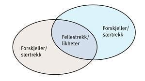 Læreplaner for fag Alle fag i skolen har en læreplan. Hvert fag inneholder kompetansemål og grunnleggende ferdigheter. På Jordal skole er det Kompetansemålene i hvert enkelt fag etter 10.