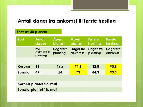 4 Delrapport 2105. Prosjekt Hagebær i Arktis. Som resultatene viser så er dette ikke godt nok. Vi ønsker en salgbar avling per plante på helst 300-350 gram og gjerne mere. Vi ser også at det tok ca.