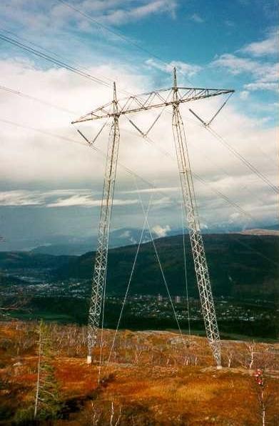 Der ledningen går gjennom skog vil det normalt bli et ryddebelte som er ca 40 m bredt.