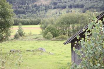 Pilgrimsleden: Ligger rett ovenfor gardstunene på Fautgarden og Moen, følger til dels veger og gamle stier og ligger delvis i tilknytning til eiendomsgrenser.