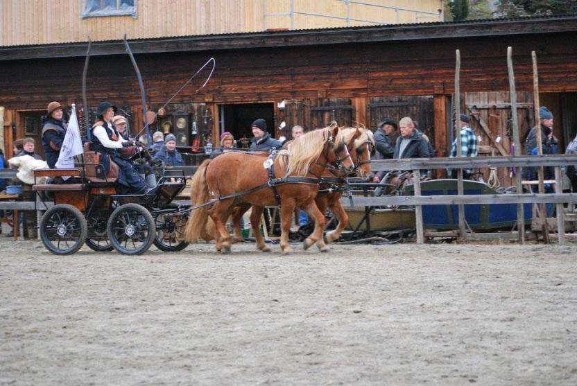 Forbrigds Sirius og Lotta Daler red Linda med tospann Linda og hennes tospann vant 1 premien i gruppen for tradisjonell, med tema OL 1994 Lillehammer vel fortjent!