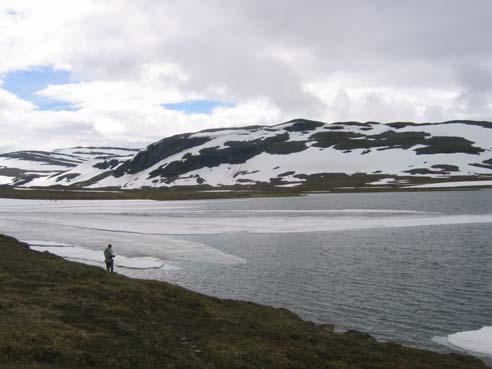 juli 7 Kollsvatn, juli 7 Krokavatn, 5 juli, 7 Mykje snø til slutten av juli i