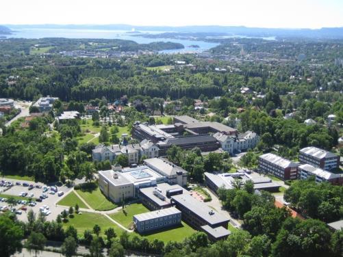 Hjerte-smerte hos leddpasienter Anne