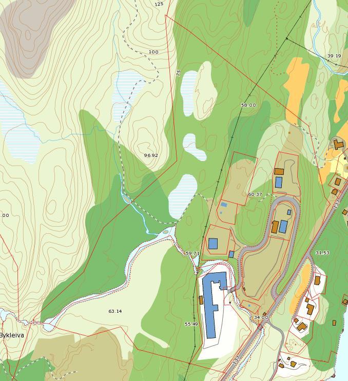 5 VEGETASJON/ DYRELIV OG ANDRE NATURTILHØVE Vegetasjonen i området er i markslagskartet registrert som skog