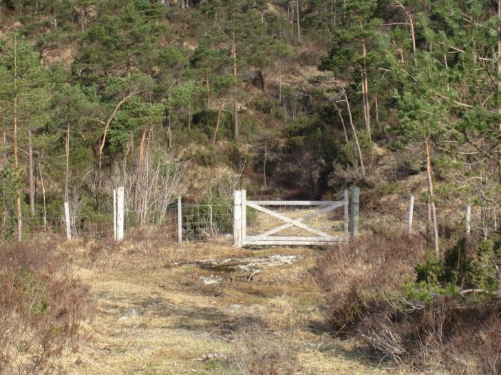 For vurdering etter naturmangfoldlova, sjå kap 6. 3.6 FRILUFTSLIV/ BARNS LEK/ TRAKTORVEGAR Det er ingen registrerte friluftsinteresse i området i offentlege registre.