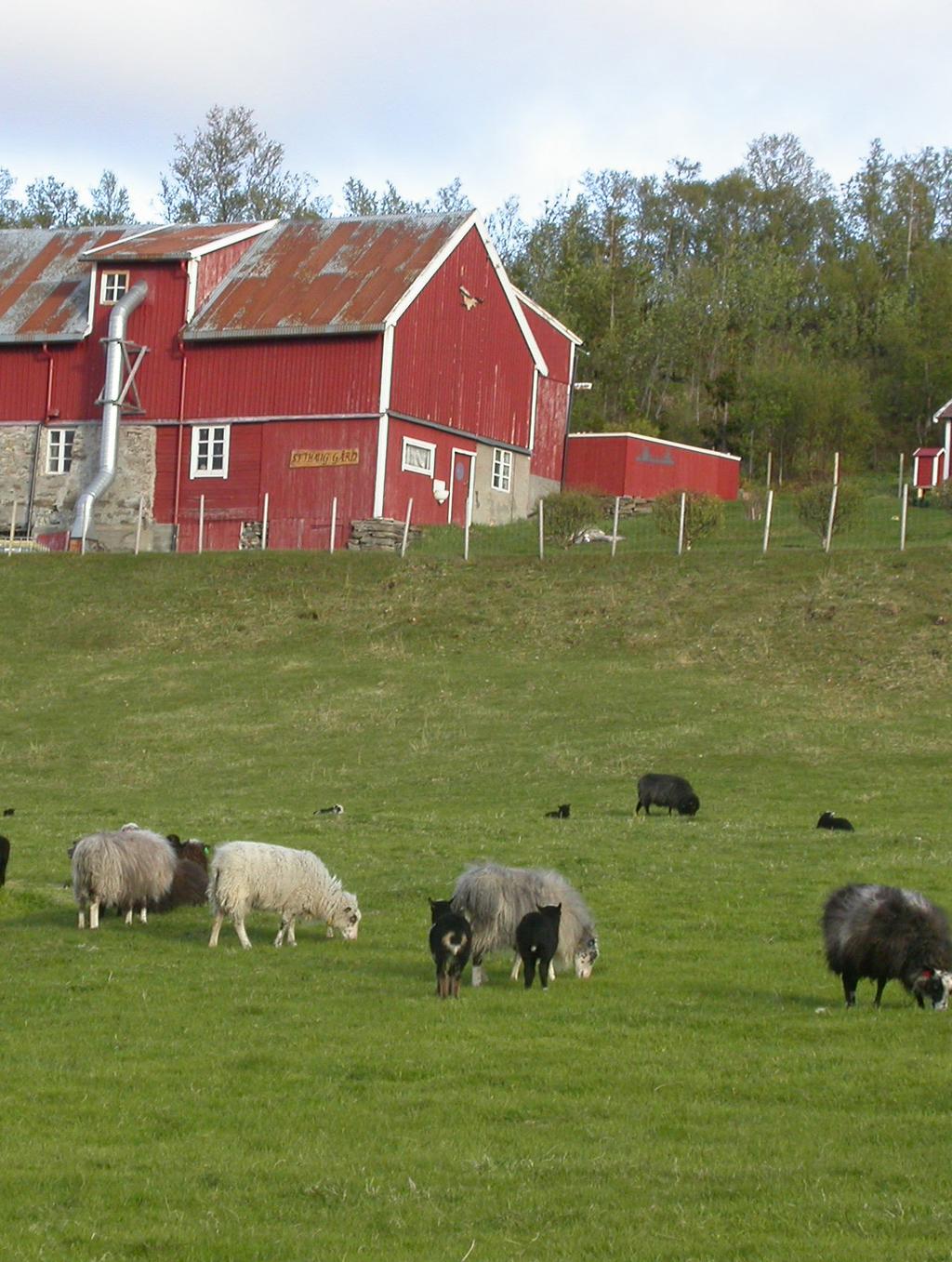 Foto: Marianne Vileid Uleberg VEDLEGG TIL