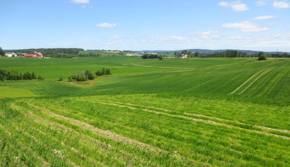 Tomta ligger værutsatt til, og deler av tomta ligger også innenfor gul støysone. Lokaliseringsalternativet ligger på landbruksjord med både god og svært god jordkvalitet.