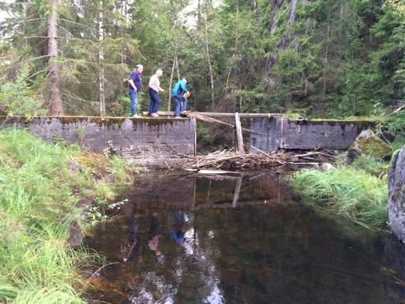 Elva krysser under E18 ved Sprang bru som synes å ha tilstrekkelig areal med B x H = 8 x 4,5m.