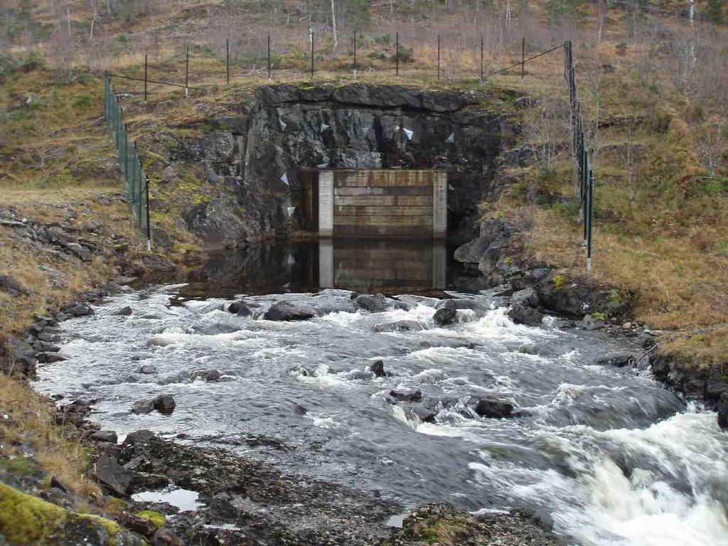 Vedlegg 7: Bilder av berørt område Bilde