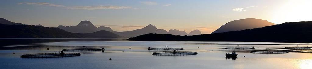 NO EN Aquaculture and Marine Biosciences Denne semesterpakken er spesielt tiltenkt utvekslingsstudenter som ønsker å oppnå kunnskap om akvakultur i Nord-Norge og andre områder innenfor marinbiologi.