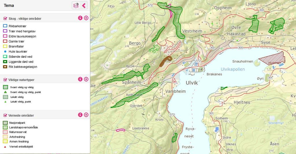 Nordplan side 18 Planprogam for detaljreguleringsplan for SeaWalk i Ulvikapollen Figur 16 Det er ikkje registrert viktige eller prioriterte naturtypar innanfor planområdet (Miljøstatus Norge).