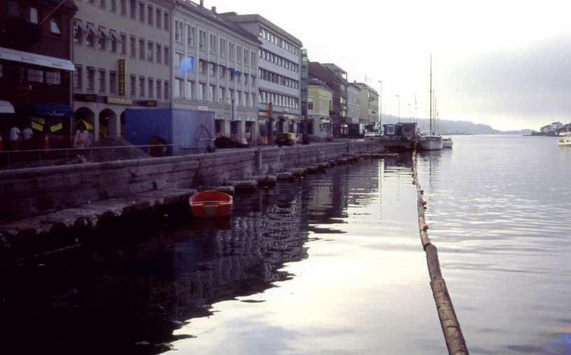 Pollen, Arendal 1994 17.