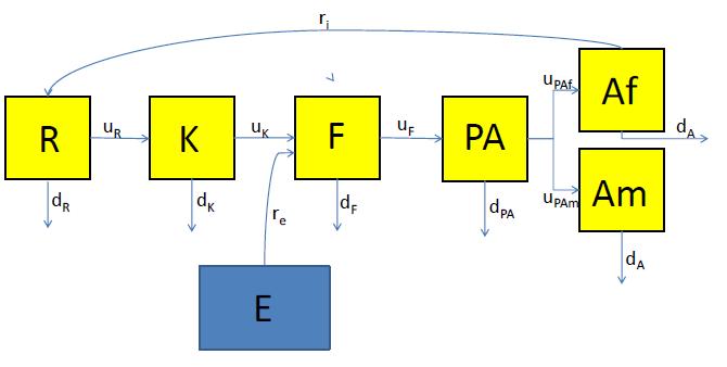 Stadium-strukturerte modeller på merd og lokalitetsnivå Inn i styringssystemene (Fishtalk, Mercatus) Bokholder