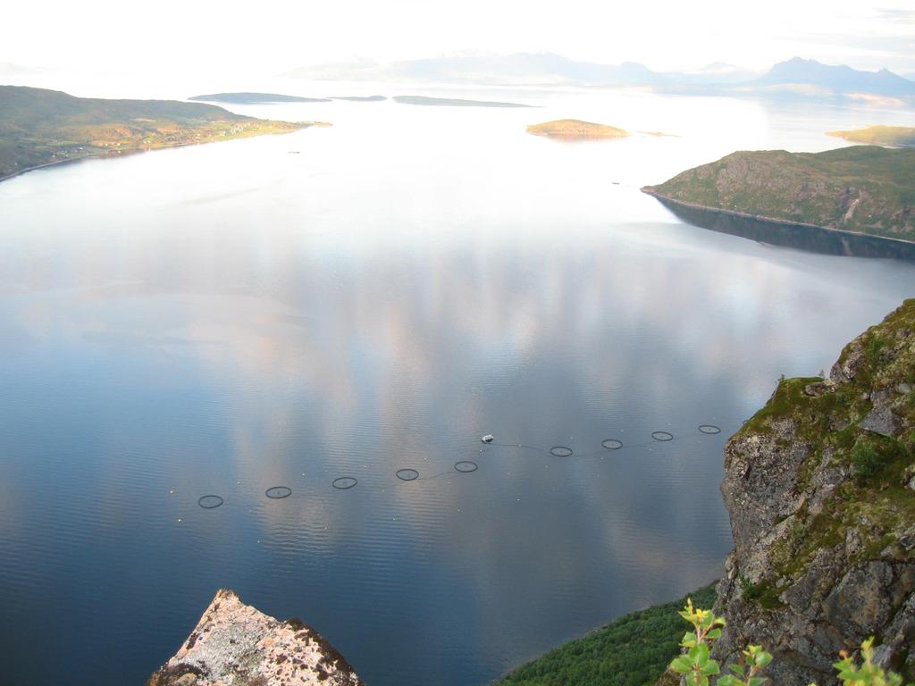 Foto: Trude M. Lyngstad Takk for oppmerksomheten! Takk til medarbeidere: Anja B.