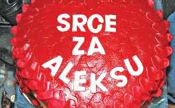 средње музичке школе Јован Бандур, дечјег хора Пахуљице, најмлађе групе КУД-а Абрашевић, првог ансамбла КУД-а Вељко Влаховић и певачке групе Тоше Проески.