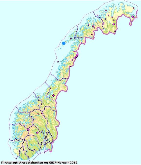 Lillavokssopp&(Hygrocybe&lilacina)& Detteerenganskeutpregetfjellsopp,somiNorgeiførsterekkeforekommerinordligedelerav landetogtydeligviserganskesjeldenisør(sefigur23).