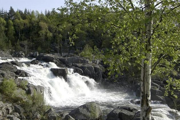 av fiskeunger, trekkes fram som hovedårsak til de lave tettheter av 0+ i 2005; 7 ind. 0+ laks pr. 100 m 2 (Larsen et al. 2006).