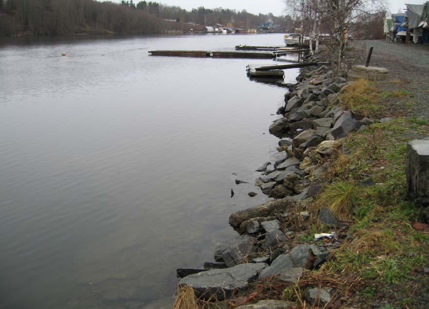 Bunnforhold utover i elva Dykking viste at bunnforholdene ved Bøle var ensartede og uegnet for gyting av laks stpå dypere vann rett utenfor stokkverket.