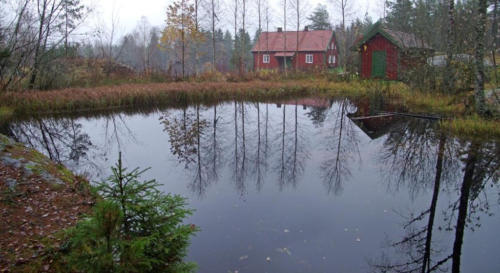 OG ØVRE LINNESTAD Vibeke