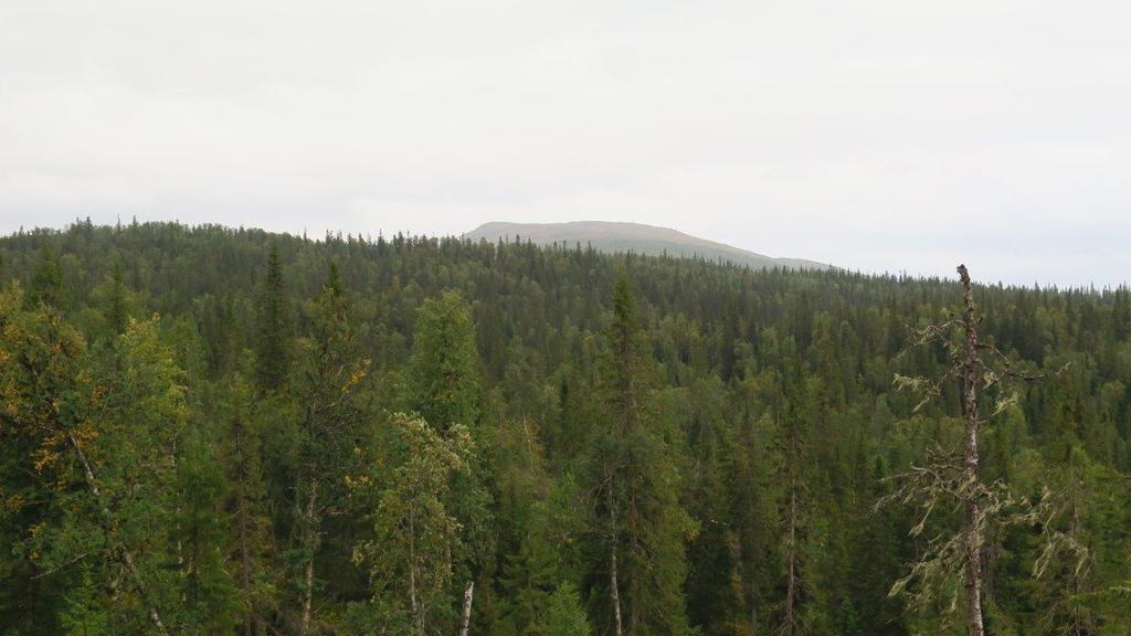 Bilder fra området Arndalen Arndalen