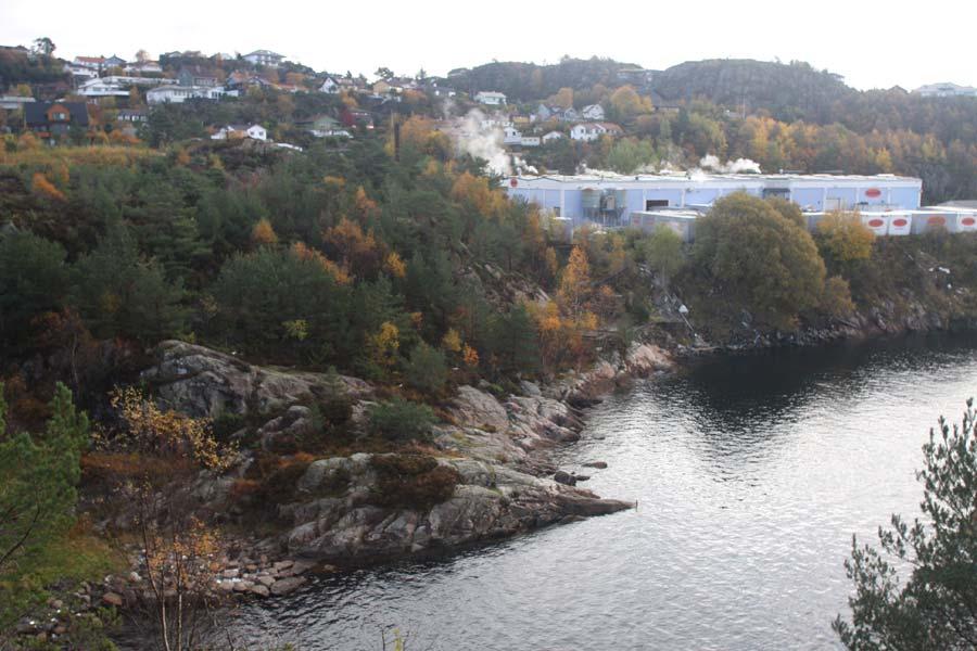 Norsk Natur Informasjon-NNI Konsekvensutredning KU Naturmiljø og biomangfold