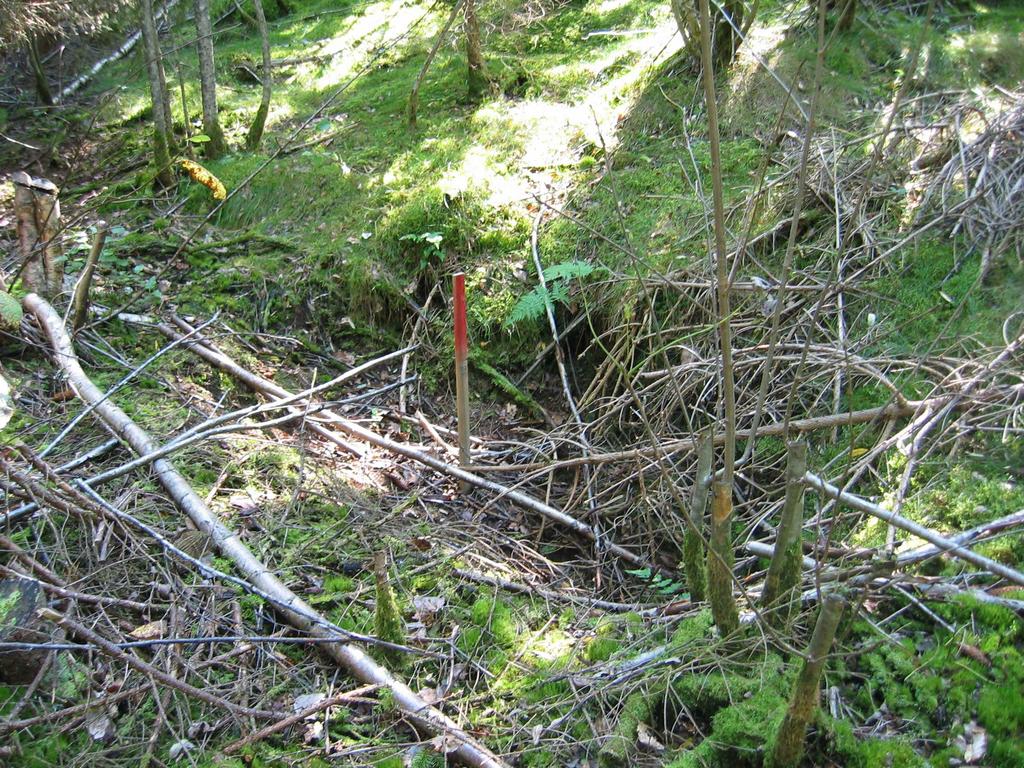 Gropen ligger i blandingsskog med mosebunn. Terrenget skråner mot nordøst. Mål (uten voll): 2,1 x1,4 m, ca 90 cm dyp. Mulig fangstgrop F1.