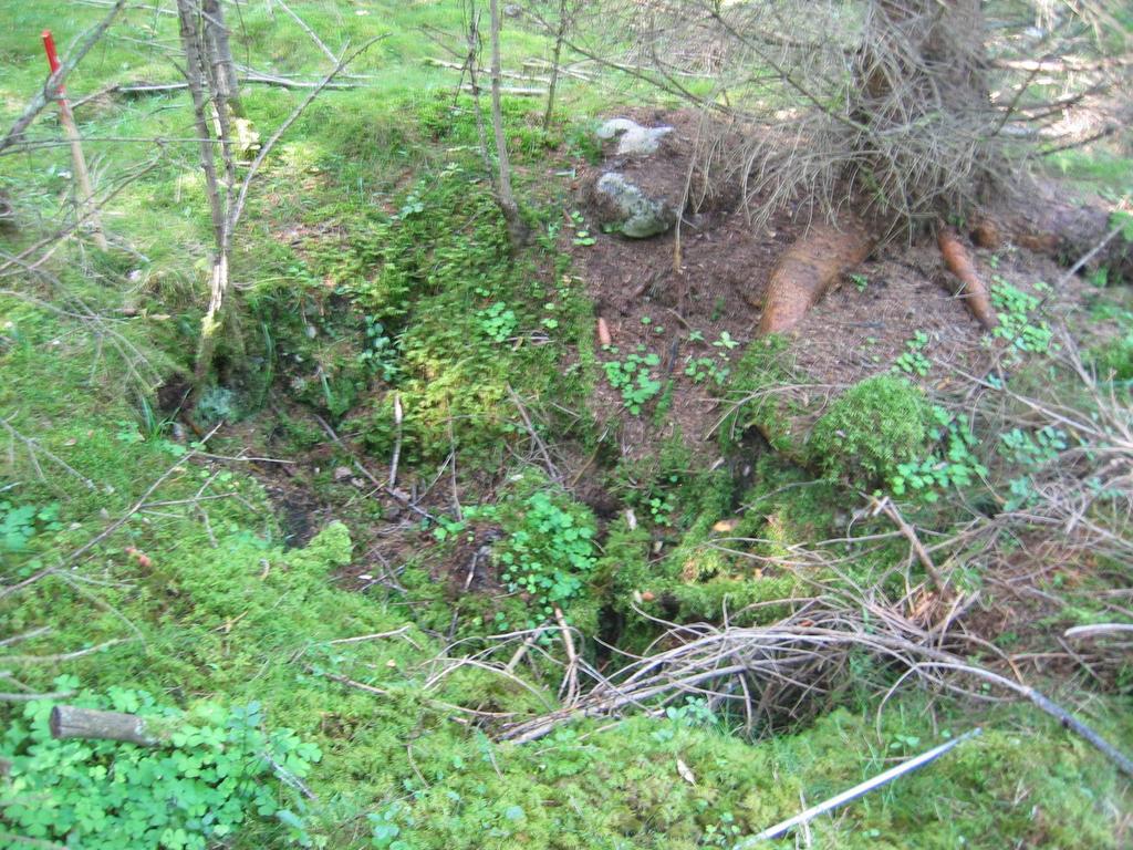 Terrenget skråner mot nordvest. Mål (uten voll): 2,3 x 1,5 m, 90 cm dyp. Mulig fangstgrop F5. Sett mot nordøst.