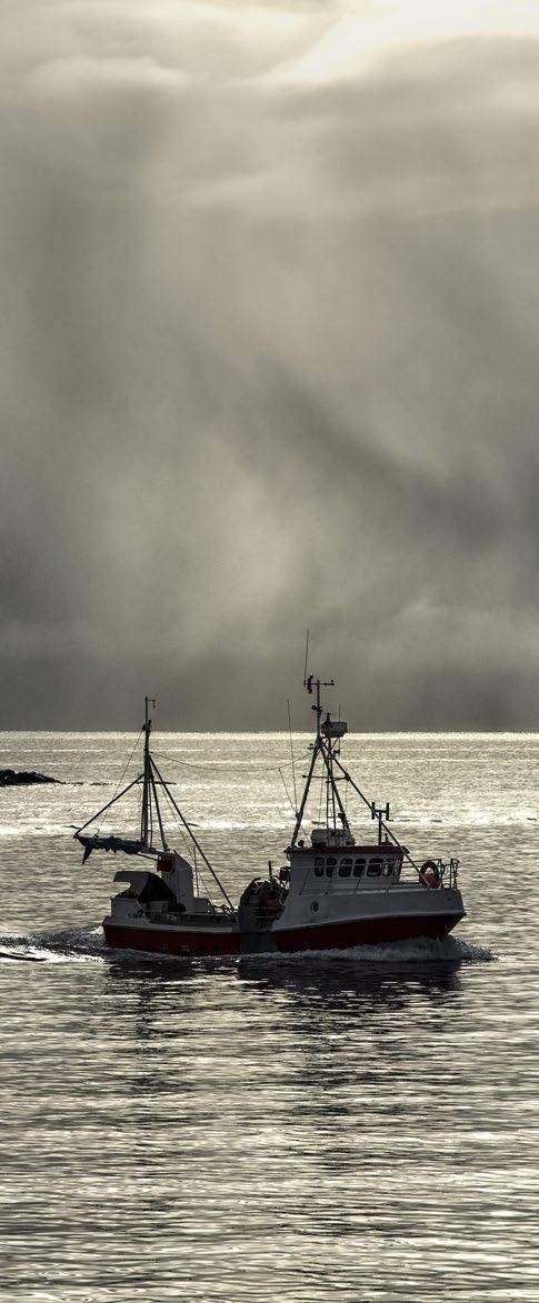 2 FRAMDRIFT Propellutstyr...54 Propellaksel...56 Sleipner pakkboks...58 Tides Marine pakkboks...59 Tekniske data, pakkbokser.