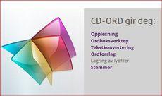 CD ORD skal benyttes i digitalt skrivearbeid av bergenselever som begynner på 1.