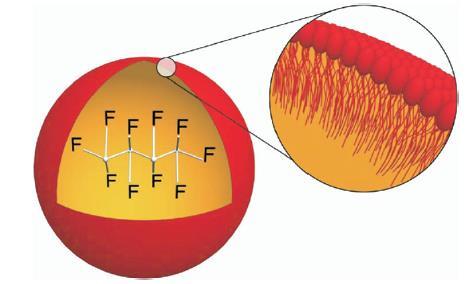 Sonazoid Membrane is hydrogenated egg