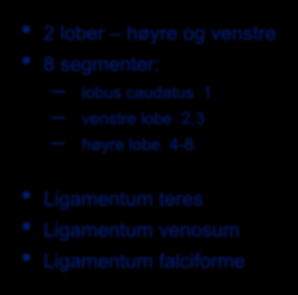 NORMAL ANATOMI 2 lober høyre og venstre