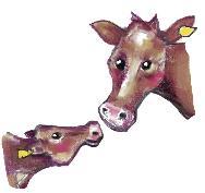 Jan og June ser på kalven. Se så søt han er, sier June. Kalven får melk av mora si. Kua har melk i juret sitt.