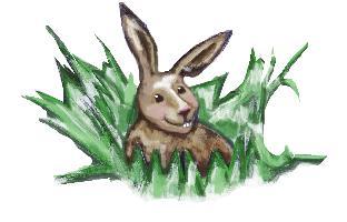 Haren bor ute i naturen Dag så en hare en gang. Da var han på hytta. Haren sprang veldig fort. Haren er brun om sommeren.