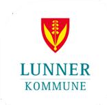 Lokal lønnspolitikk hos Lunner kommune En